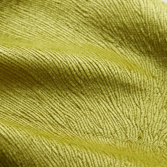 Peacock Fabric